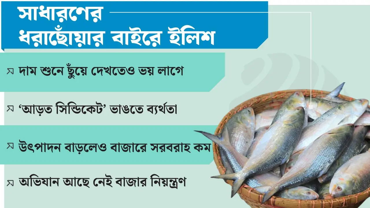 বাজার নিয়ন্ত্রণে পদক্ষেপ নেই, দাম শুনেই কপালে চোখ