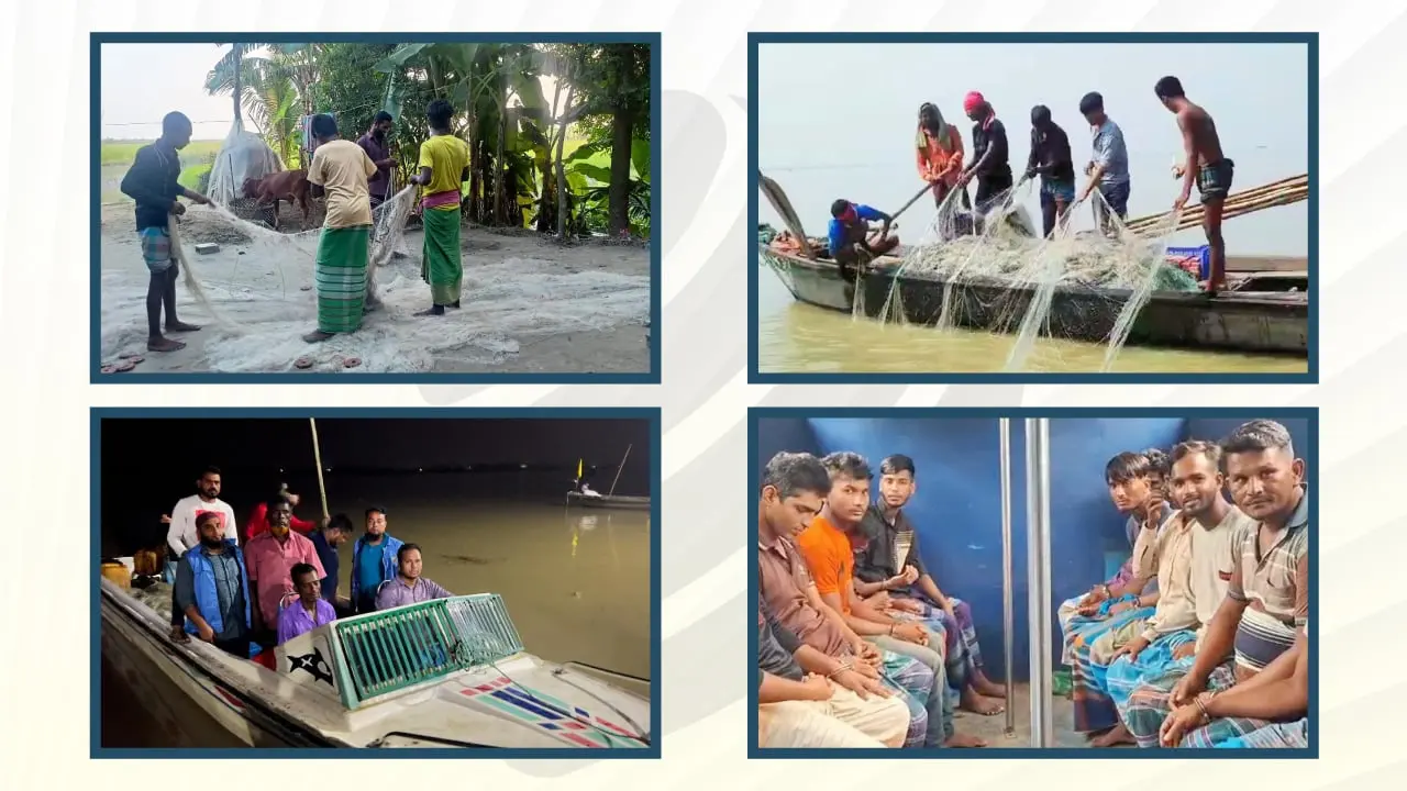 আটক-দণ্ড-জরিমানা, তবুও কেন থামছে না মা ইলিশ শিকার 