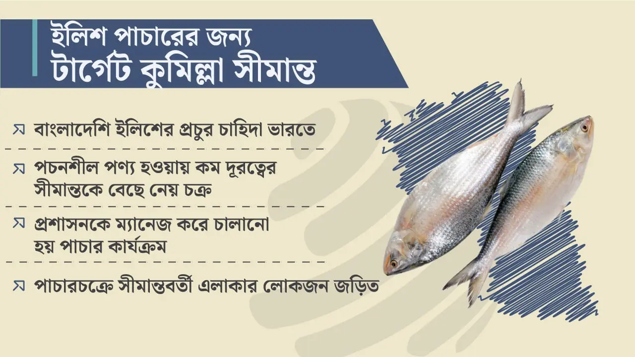 পাচার হওয়া ইলিশের সিংহভাগই যায় কুমিল্লা সীমান্ত দিয়ে