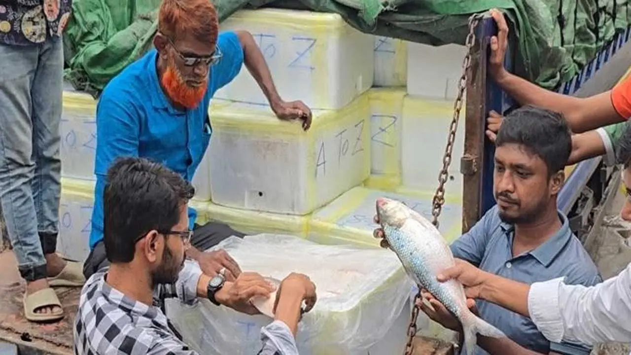 বেনাপোল দিয়ে পাঁচ চালানে ভারতে গেল ২৭৬ টন ইলিশ