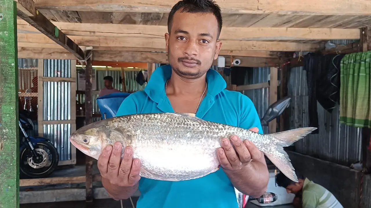 ৬৮৪০ টাকায় বিক্রি হলো এক ইলিশ 