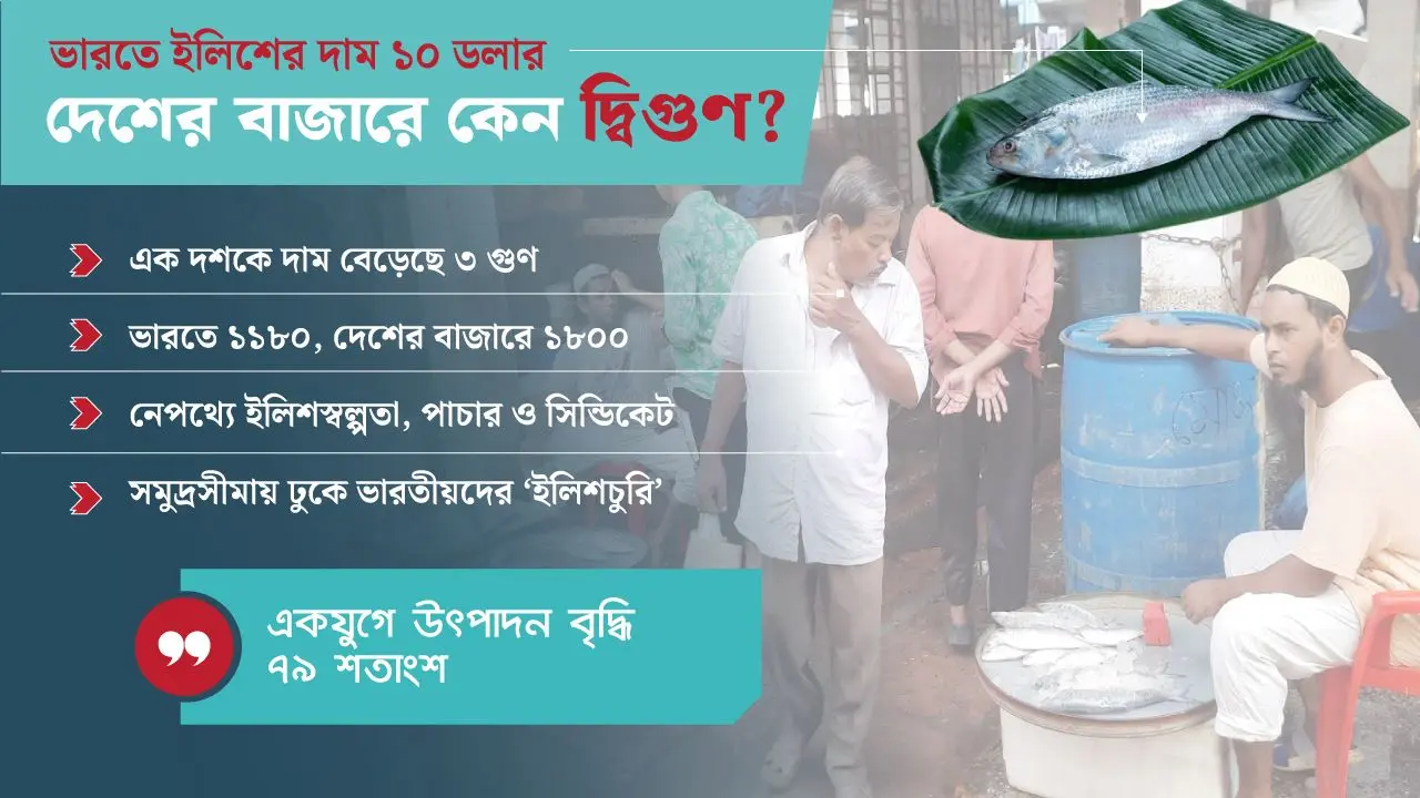 রপ্তানির খবরে ইলিশের ‘কৃত্রিম সংকট’, চড়া দামের নেপথ্যে ৭ কারণ