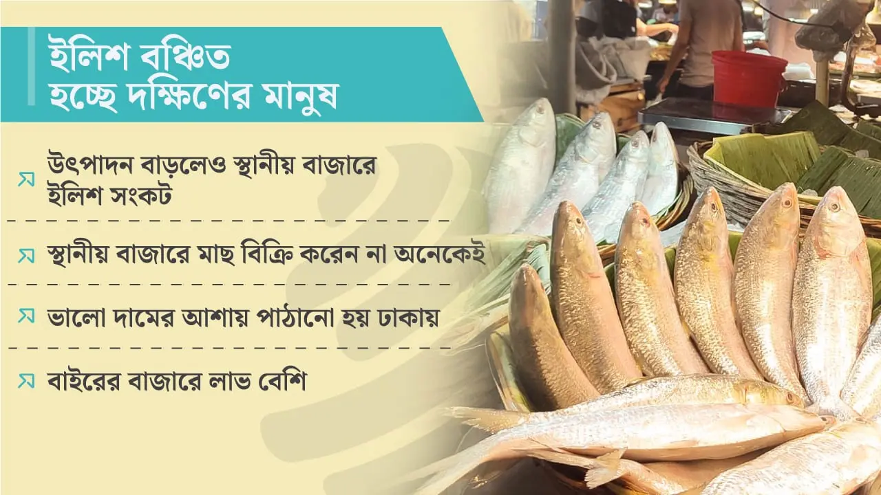 ৬৫ শতাংশ ইলিশ উৎপাদিত হয় বরিশালে, তবুও পাতে ওঠে না অনেকের