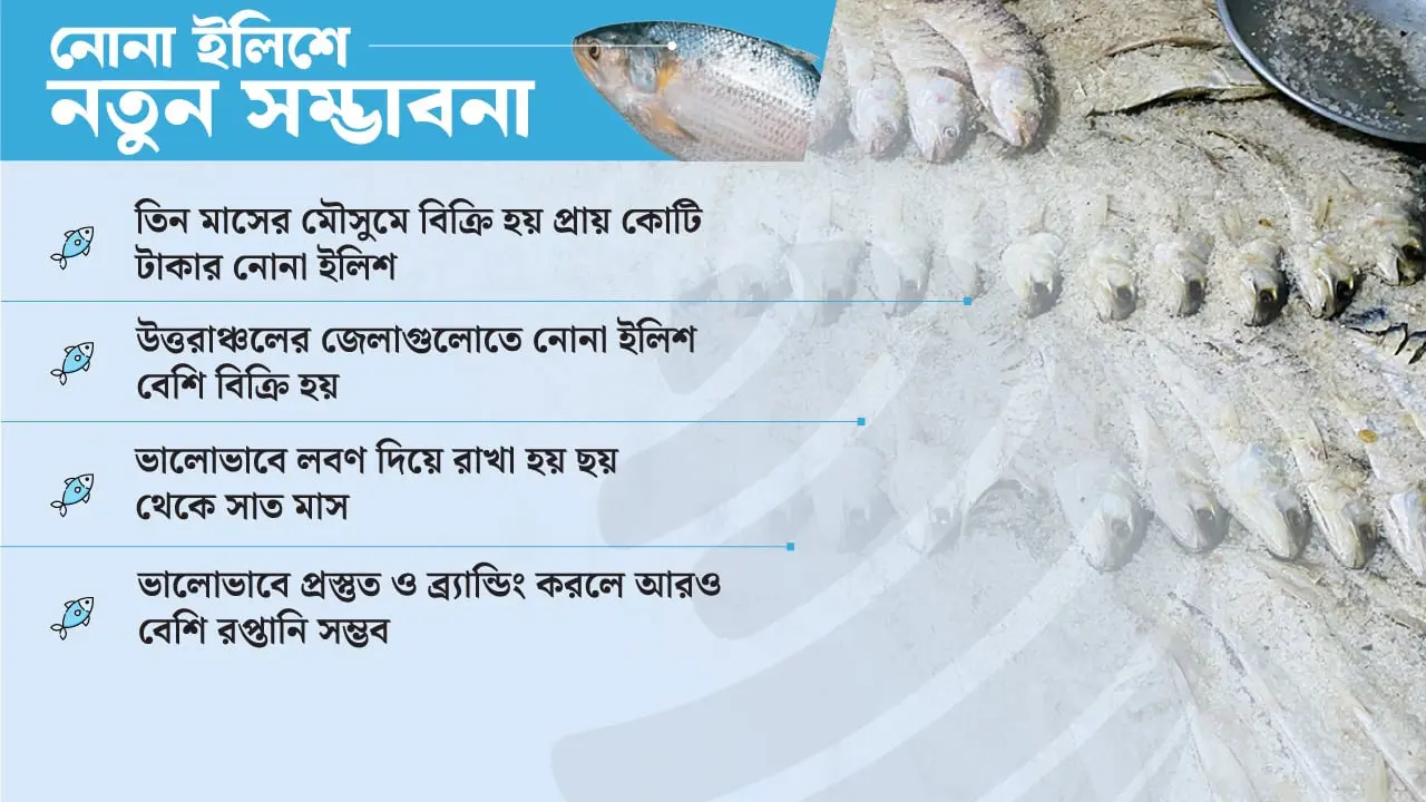 হাতিয়ার নতুন সম্ভাবনা নোনা ইলিশ, মৌসুমে কোটি টাকার বিক্রি