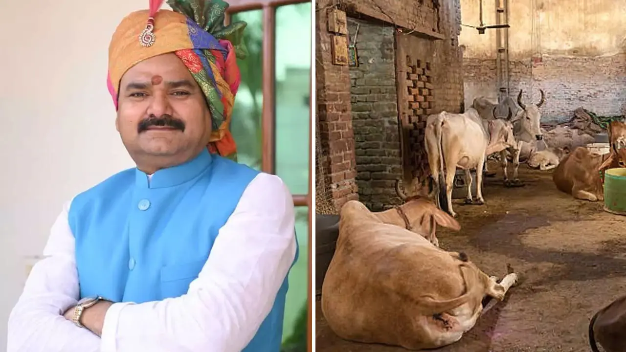 গোয়াল পরিষ্কার ও সেখানে ঘুমালে ক্যান্সার সেরে যায়: ভারতীয় মন্ত্রী