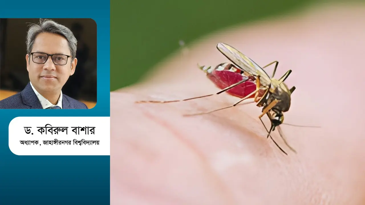 বৃষ্টিতে ডেঙ্গু কি বাড়ে?