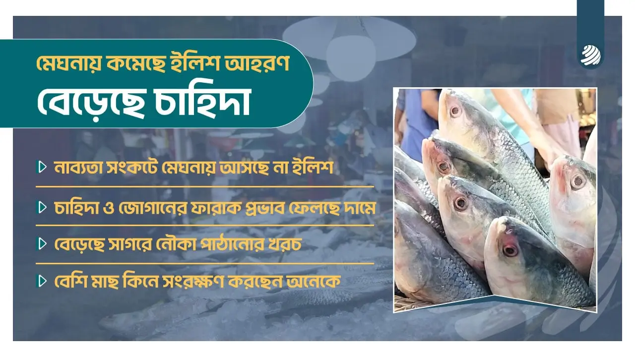 ইলিশের দামে দ্রব্যমূল্যের ঊর্ধ্বগতির প্রভাব