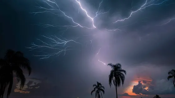 করলা ক্ষেতে কাজ করতে গিয়ে বজ্রপাতে দুই বেয়াইয়ের মৃত্যু