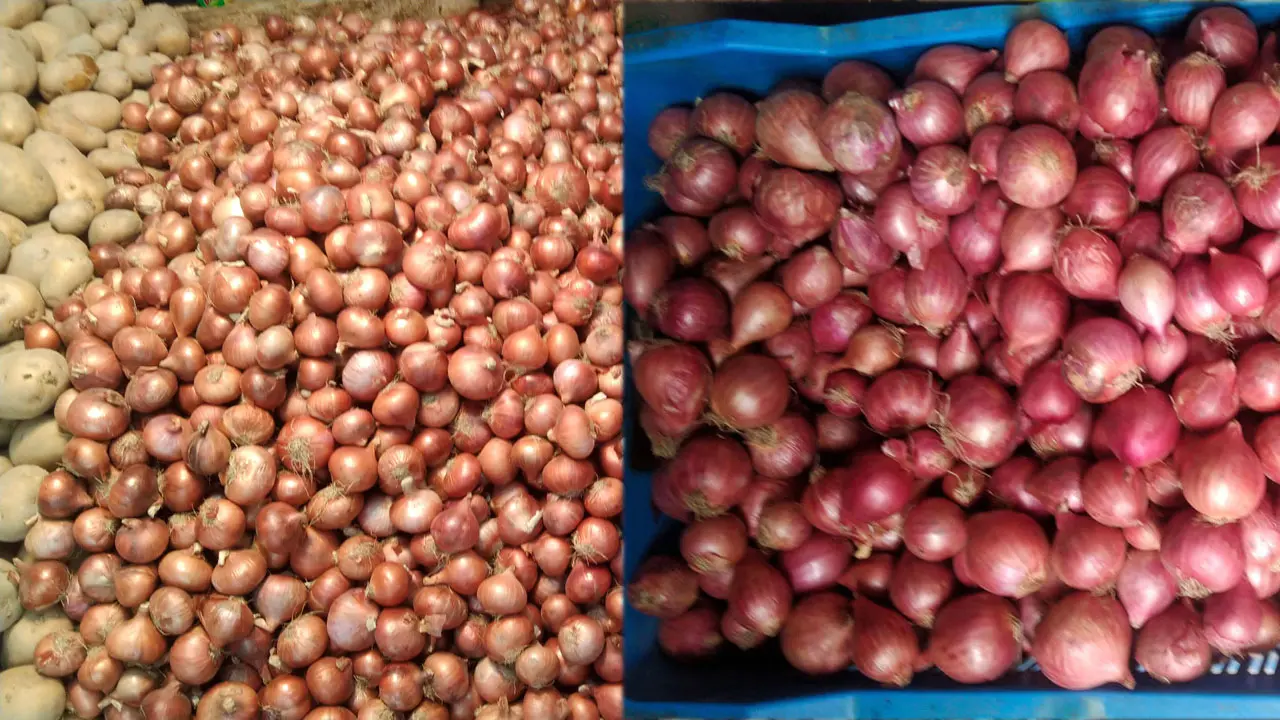 বাজারে দেশি পেঁয়াজের কেজি ১৫০, ইন্ডিয়ান ১৩০