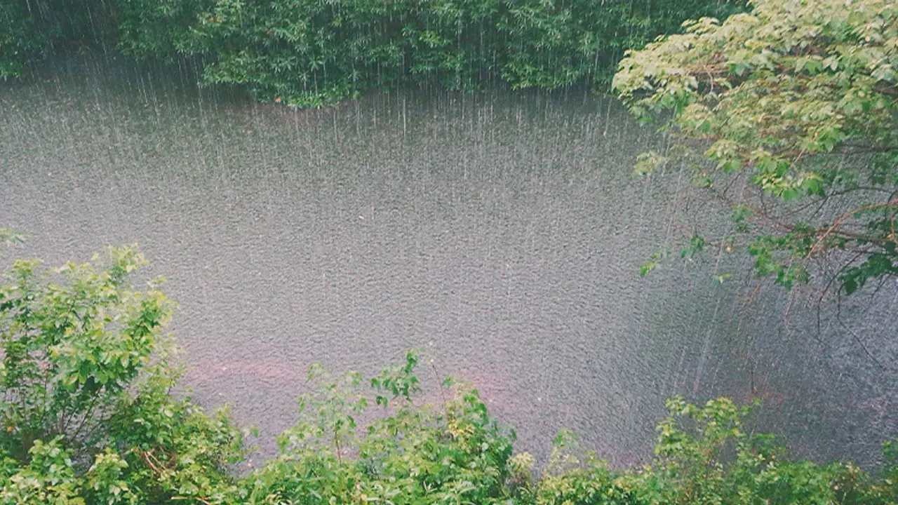 বৃষ্টি নিয়ে যা জানাল আবহাওয়া অফিস