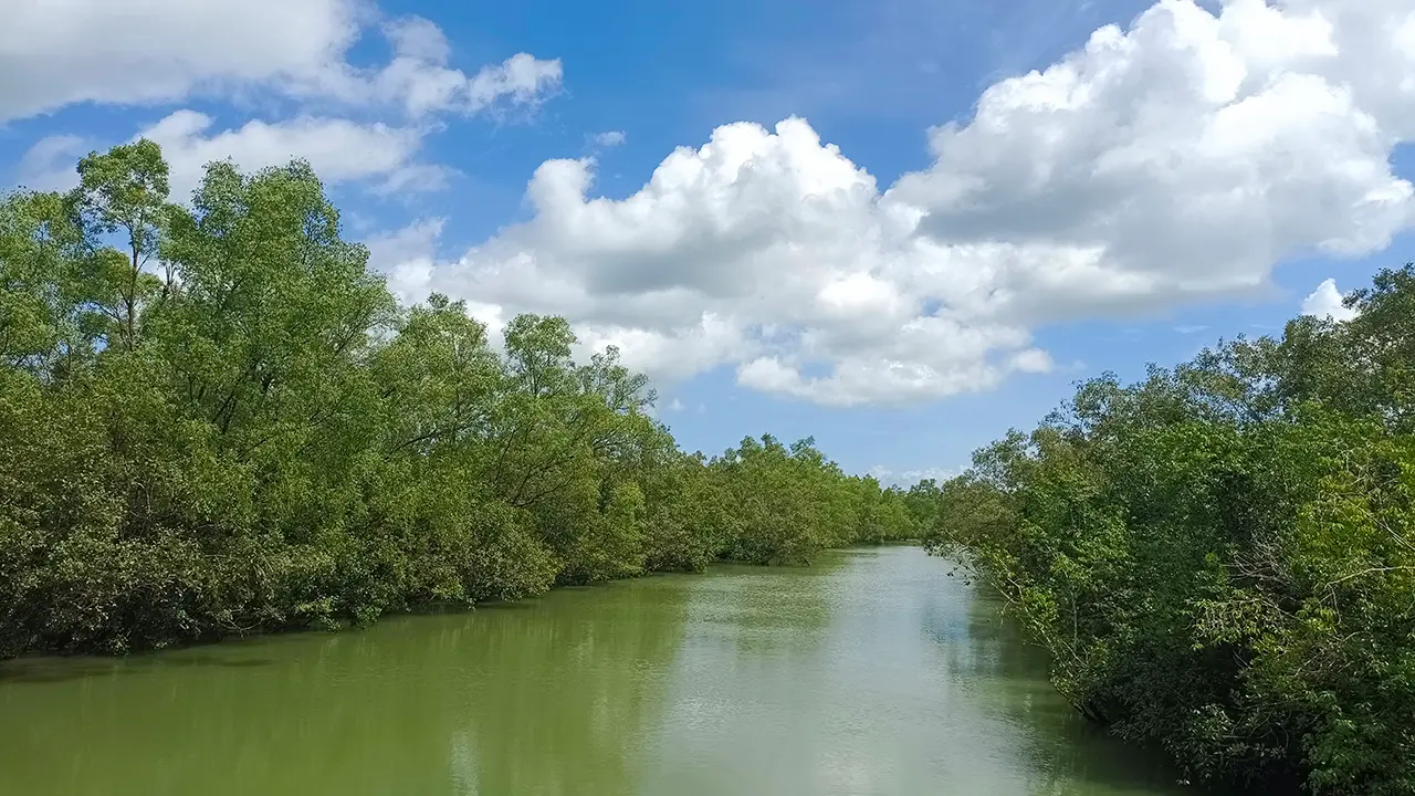 নানা কারণে সাতক্ষীরায় কমছে সুন্দরবনের পর্যটক