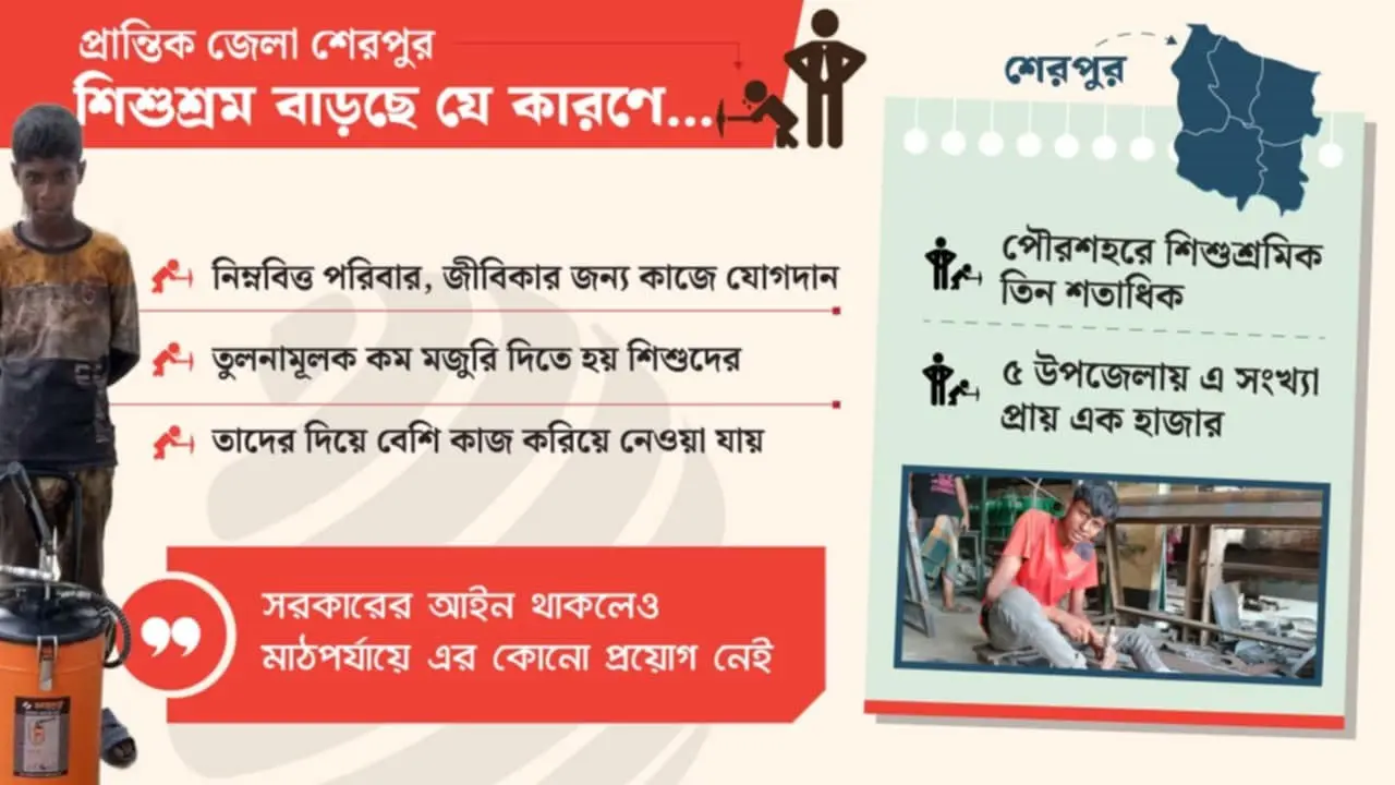 শেরপুরে বাড়ছে প্রাথমিকে ঝরে পড়ার সংখ্যা, ঝুঁকিপূর্ণ পেশায় শিশুরা