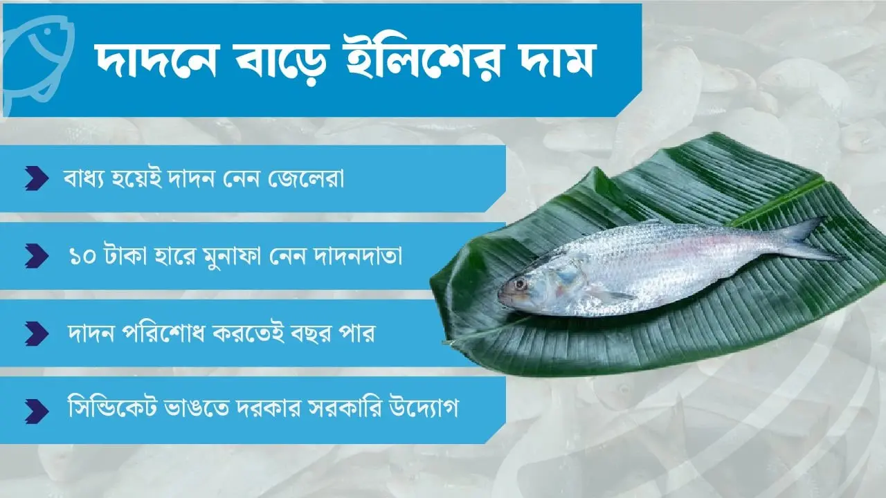 জেলেরা ‘দাদন’মুক্ত হলে কম দামে মিলবে ইলিশ