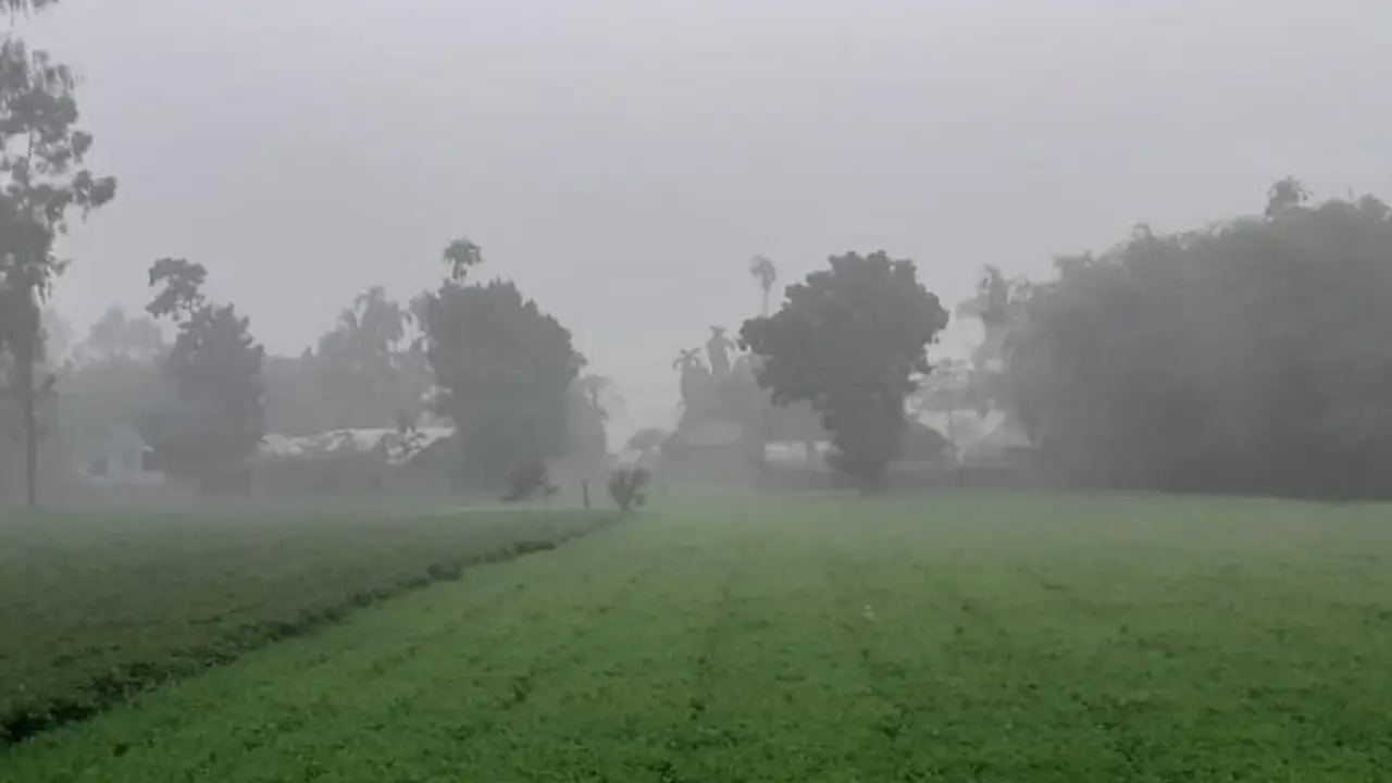 হিমালয়কন্যা পঞ্চগড়ে বাড়ছে শীতের পরশ