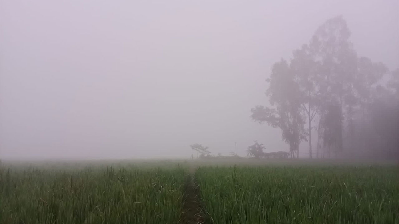 dhakapost