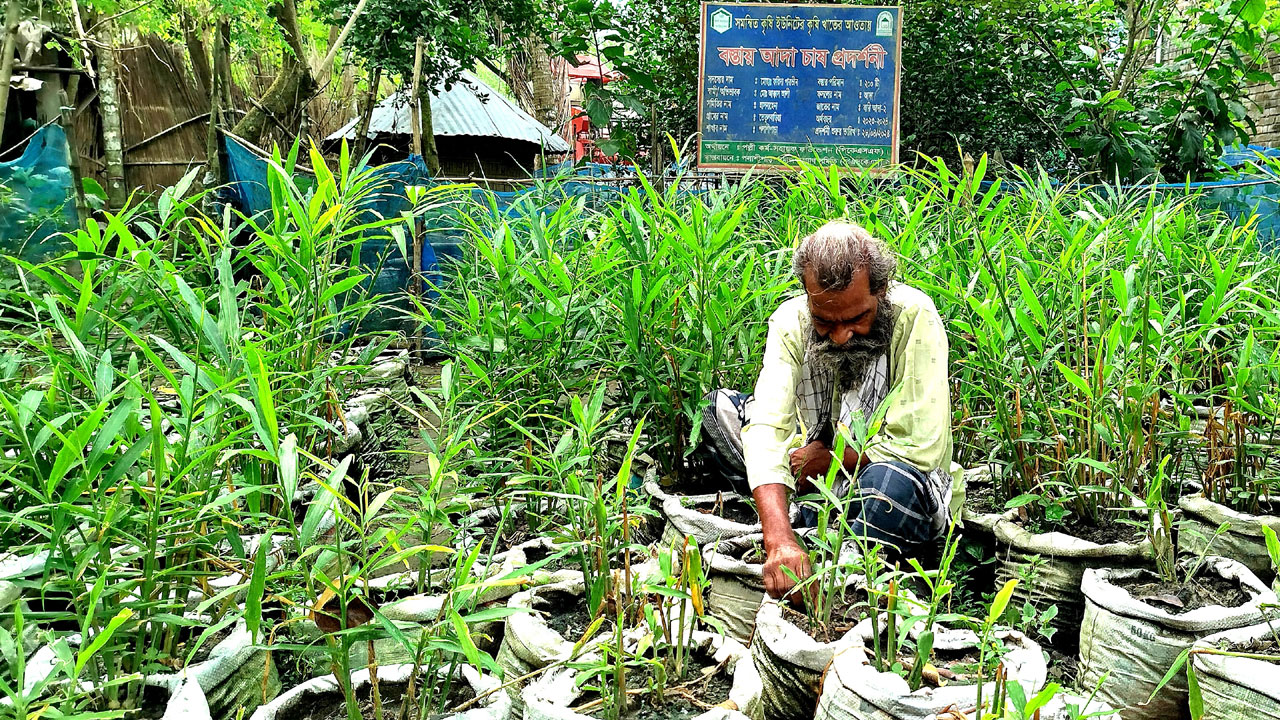 dhakapost