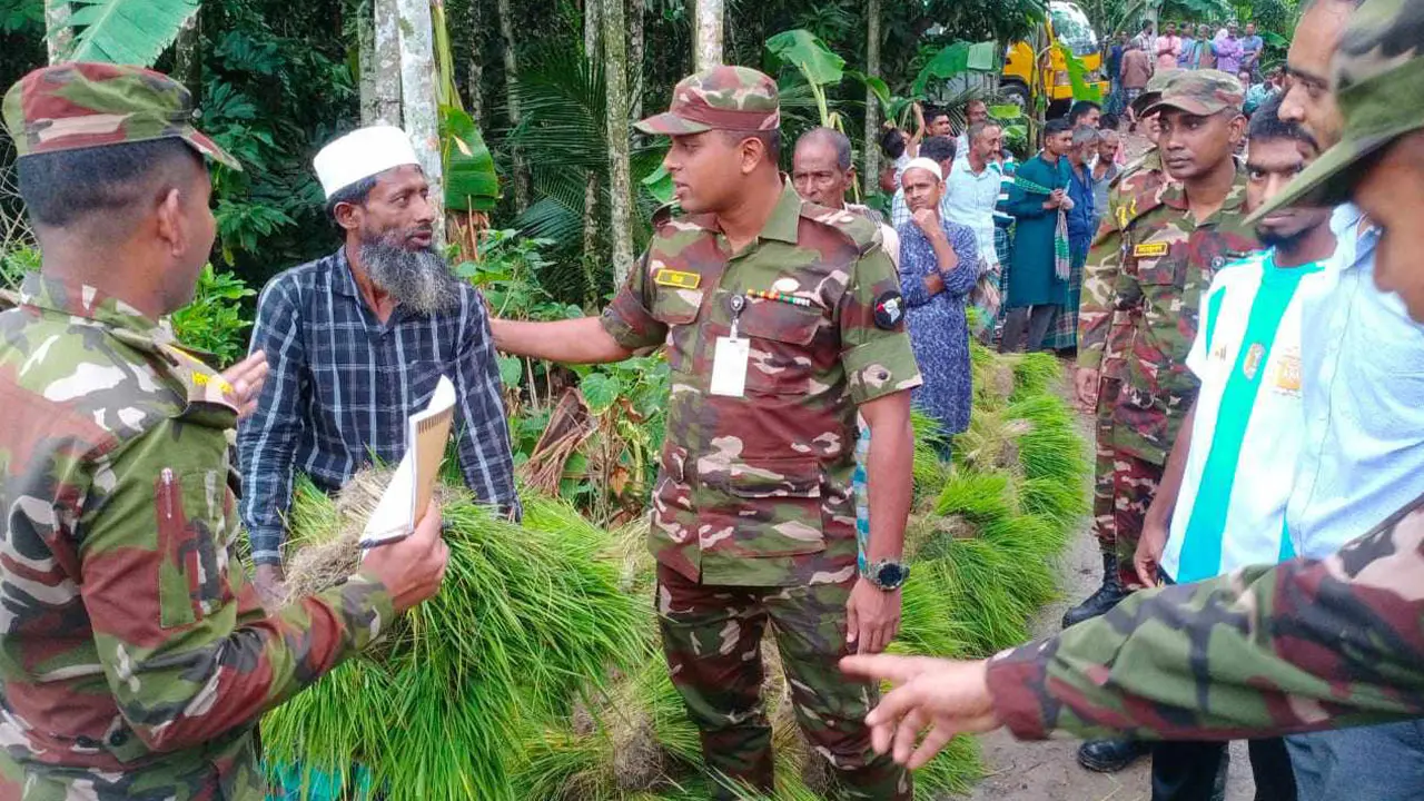 বন্যায় ক্ষতিগ্রস্ত কৃষকদের ধানের চারা উপহার দিলো সেনাবাহিনী