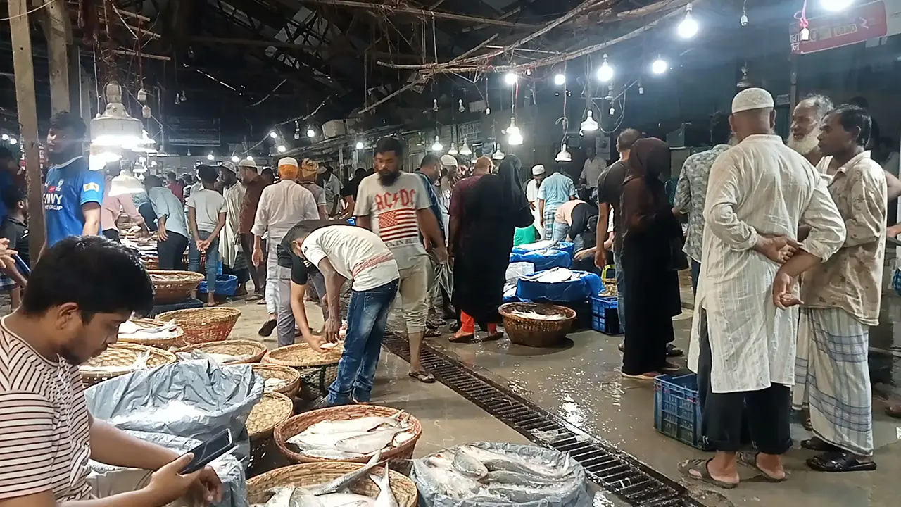হাত বদলে পাচার হচ্ছে চাঁদপুরের ইলিশ