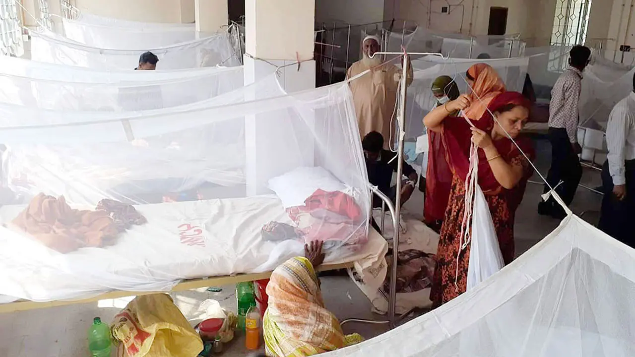 ডেঙ্গুতে আরও ৩ জনের মৃত্যু