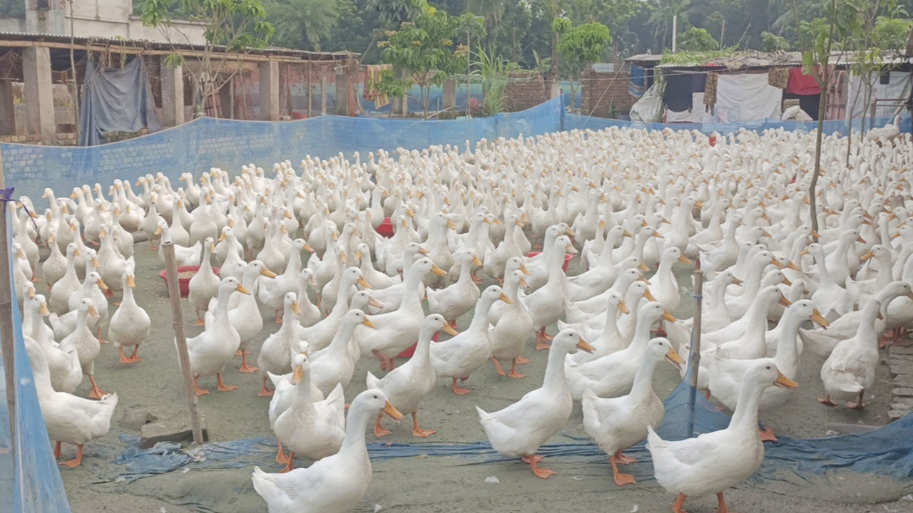 dhakapost