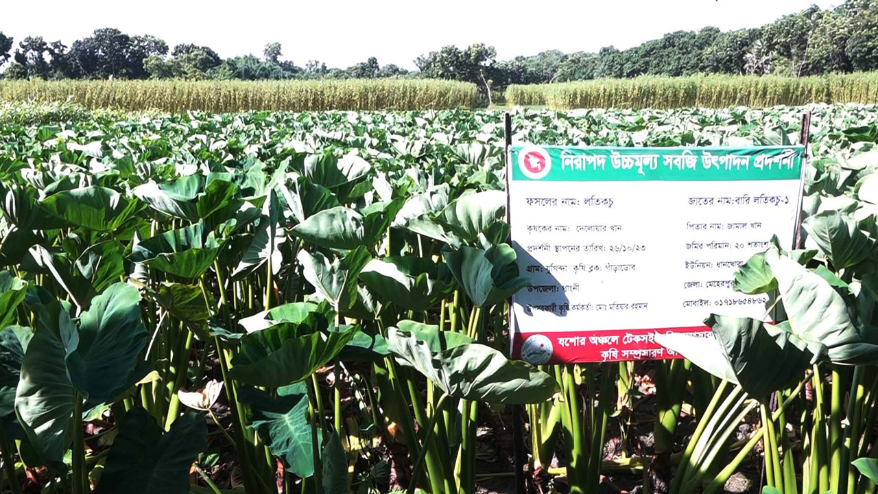 dhakapost