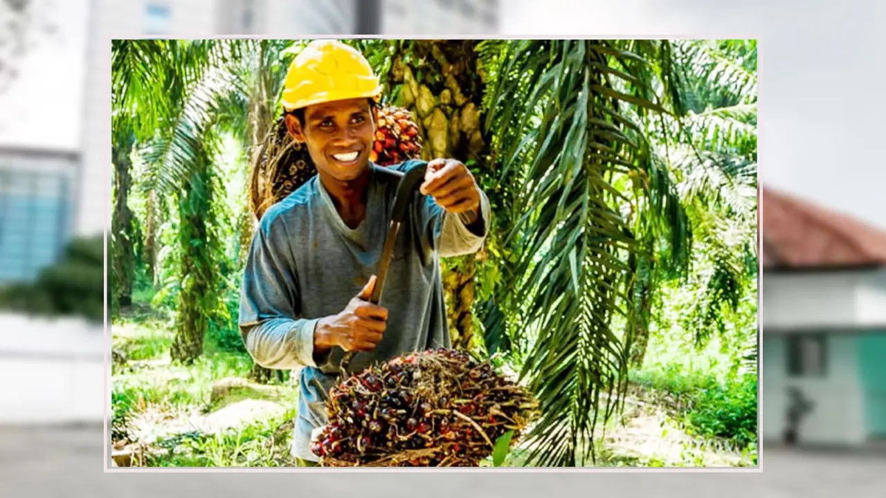 ফের চালু হলো মালয়েশিয়ার শ্রমবাজার