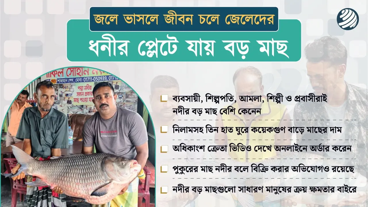 পদ্মা-যমুনার বড় বড় মাছগুলোর ক্রেতা কারা?