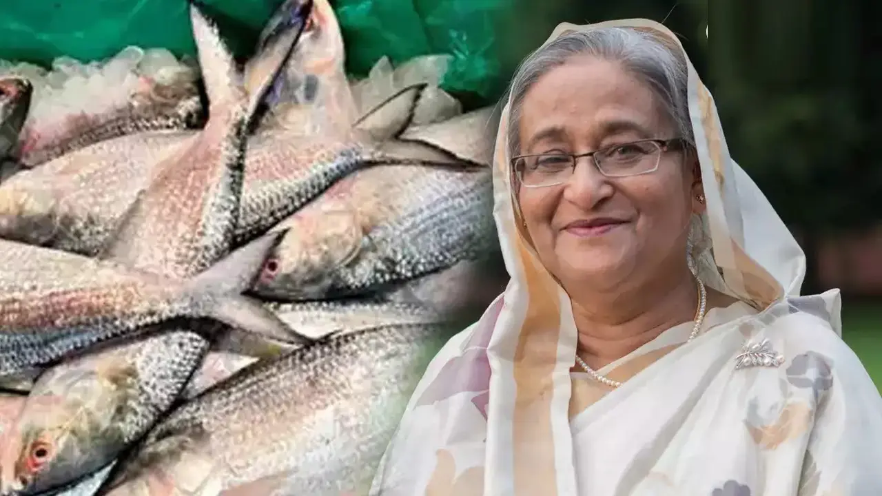 নিষেধাজ্ঞা সত্ত্বেও ভারতকে ইলিশ দিতেন শেখ হাসিনা