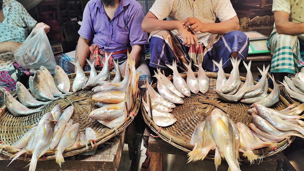 ইলিশ কিনতে এসেছি, পোয়া কিনে বাড়ি যাচ্ছি