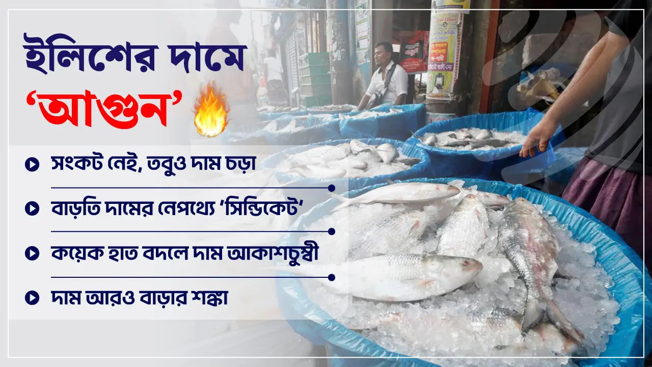 সংকট নেই, তবু দাম বেশি কেন ইলিশের?