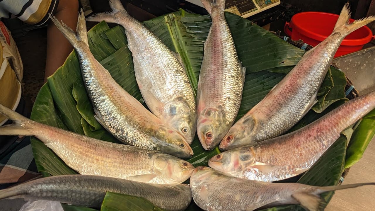 বেশি দামে ইলিশ বিক্রি করায় ৪২ হাজার টাকা জরিমানা