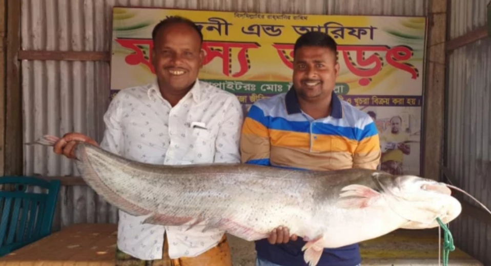 dhakapost