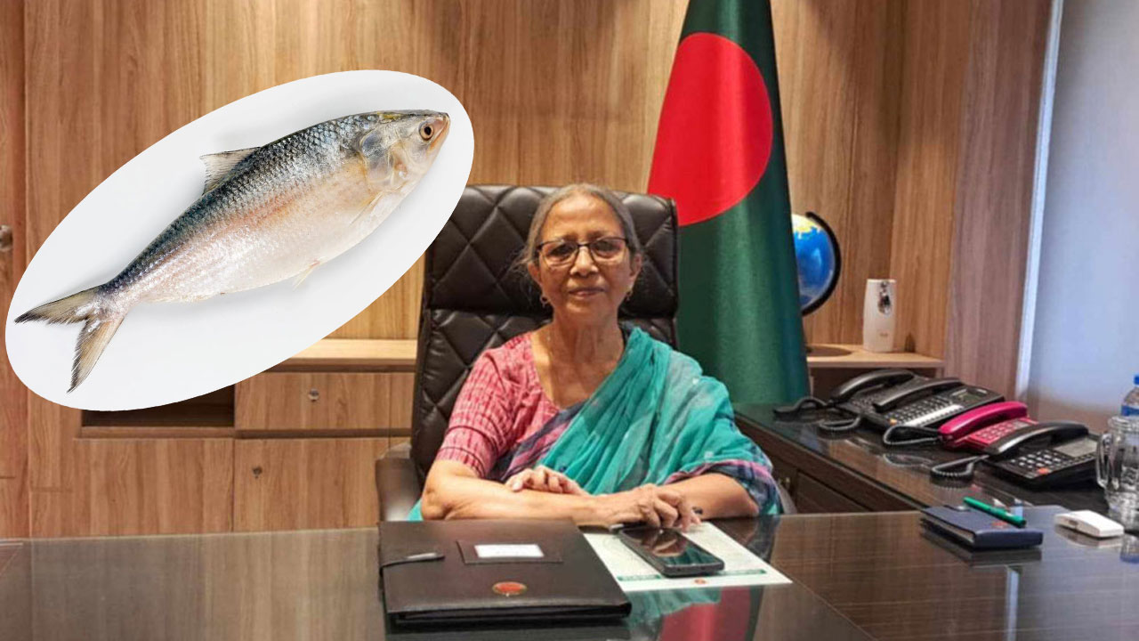 আমরাও দুর্গোৎসব করি, ভারত নয় ইলিশ খাবে বাংলাদেশিরা'