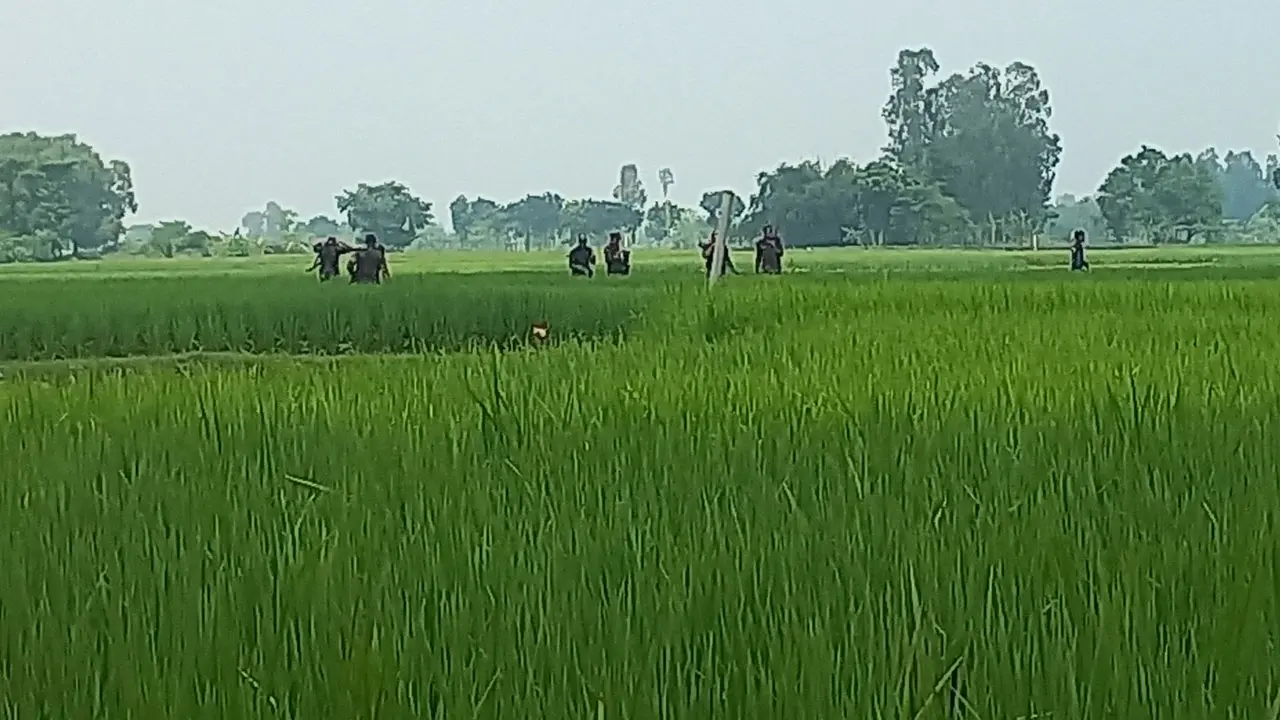 সীমান্তে কাঁটাতার দিতে মরিয়া বিএসএফ, দুই দফায় বিজিবির বাধা