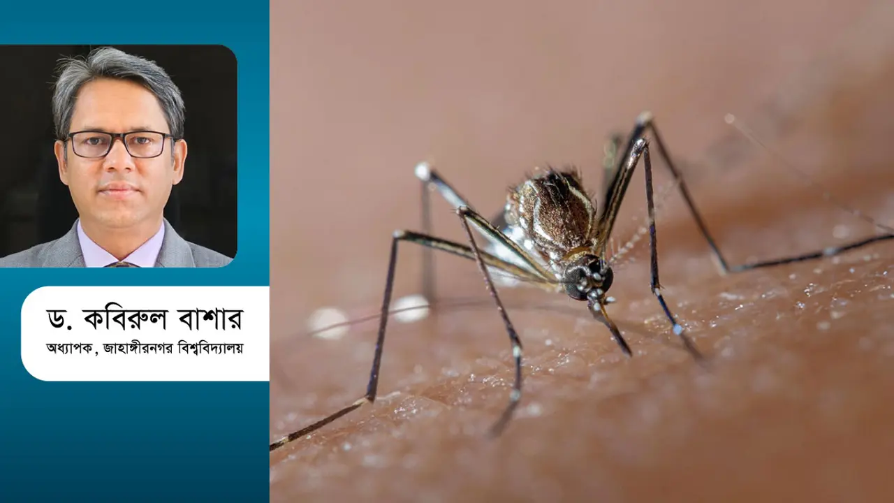 ডেঙ্গুর হটস্পট ম্যানেজমেন্টে প্রস্তুতি কতখানি?