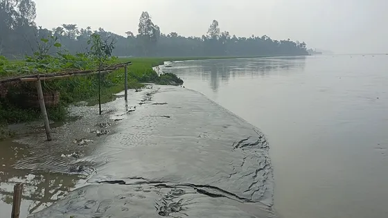 কুড়িগ্রামে নামছে পানি, জমির ফসল নিয়ে কৃষকদের কপালে চিন্তার ভাঁজ