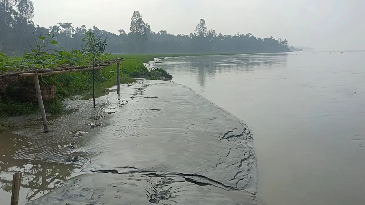 কুড়িগ্রামে নামছে পানি, জমির ফসল নিয়ে কৃষকদের কপালে চিন্তার ভাঁজ