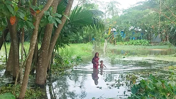 ‘মানুষ আর কতদিন থাইকবো এই হানির মইদ্যে?’