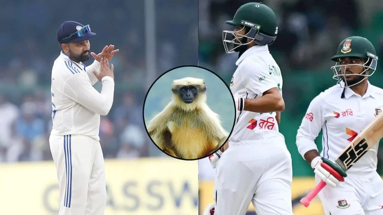 কানপুরে স্টেডিয়ামের নিরাপত্তায় বানরের দল