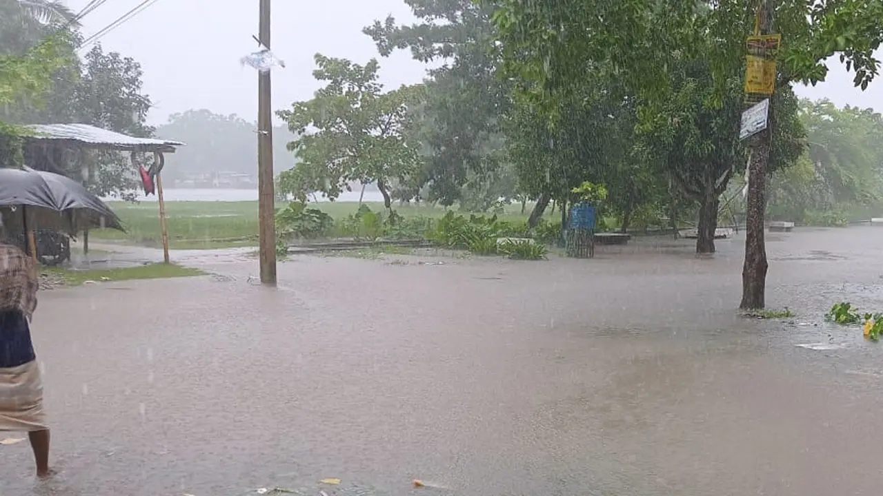 যশোরে ১১২ মিলিমিটার বৃষ্টিতে ভেসে গেল ১৪০ হেক্টর জমির সবজি