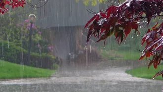 দুর্বল হলো লঘুচাপ, সারা দেশে আজও ঝরবে বৃষ্টি