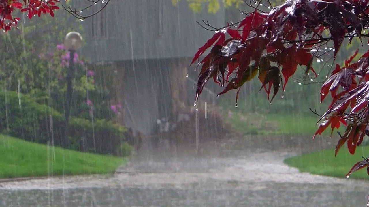 কোথাও হালকা কোথাও মাঝারি বর্ষণ হতে পারে