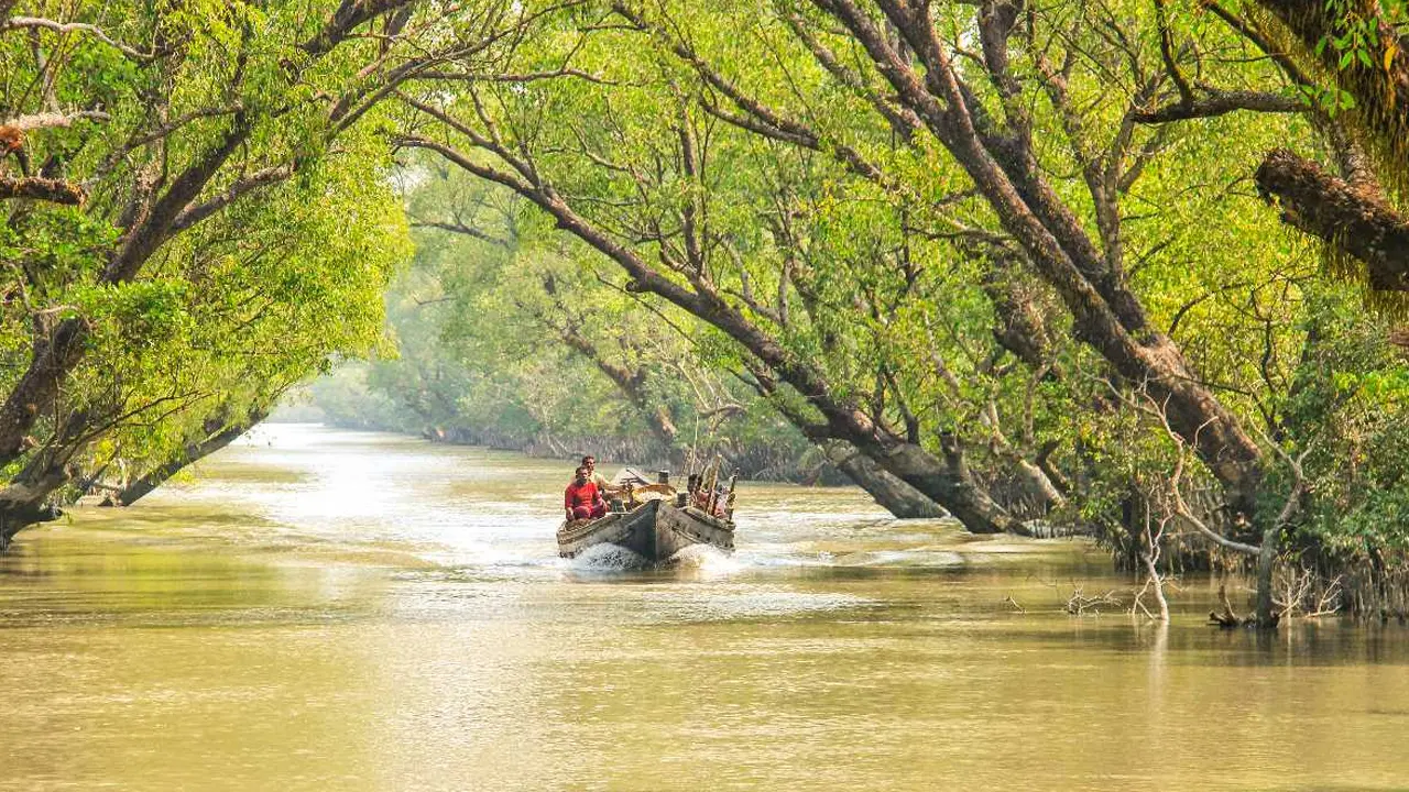 সুন্দরবনের প্রবেশদ্বার খুলছে আজ