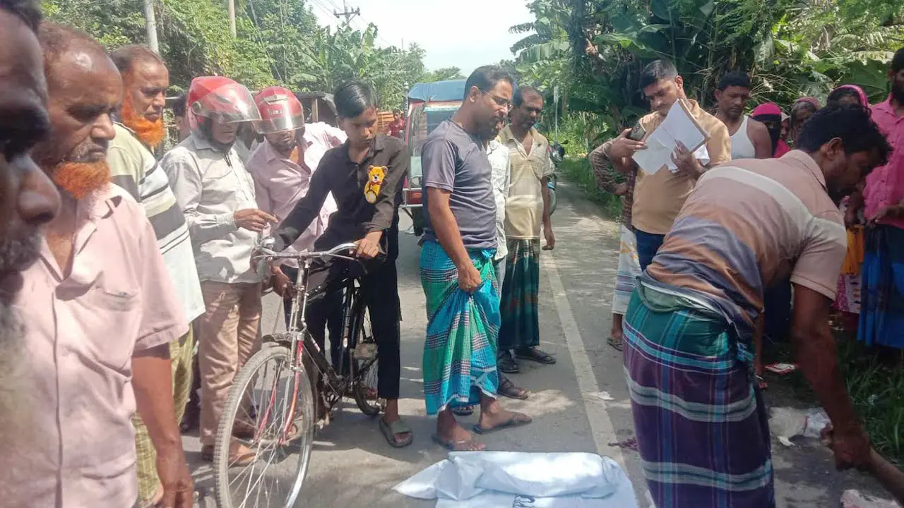 ঘাটাইলে এক দিনে চার মরদেহ উদ্ধার