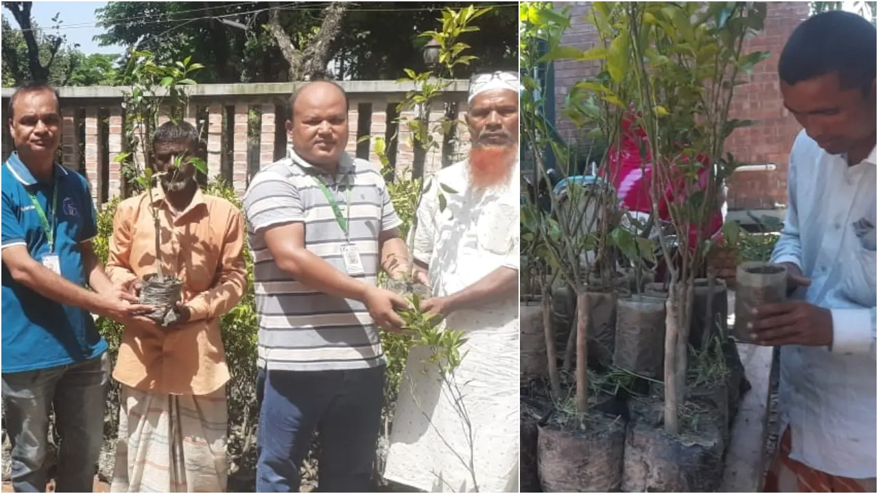 ২৫০ চাষি পেলেন বিদেশি উচ্চমূল্যের ফলসহ মসলাজাতীয় ১৫ হাজার চারা