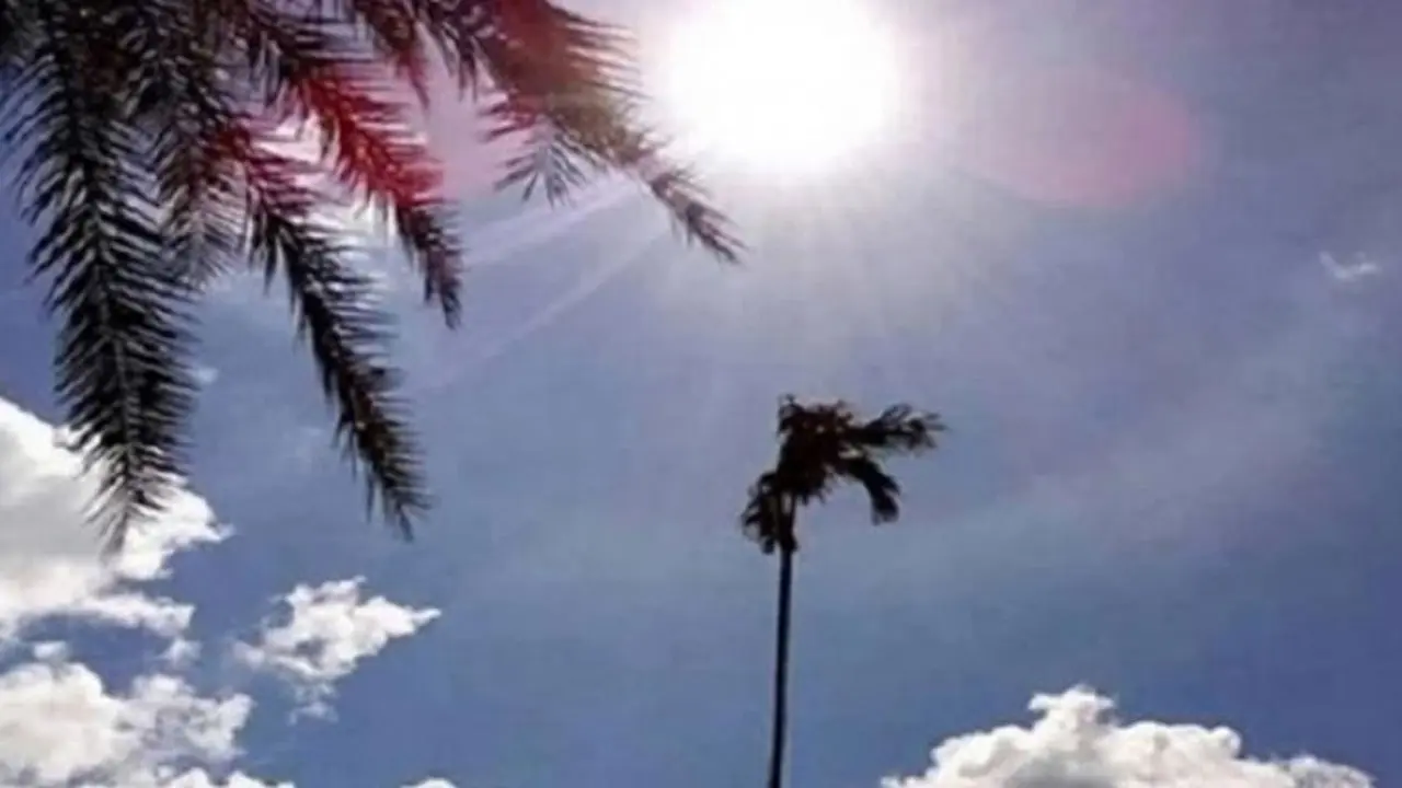 নয় জেলা ও তিন বিভাগে তাপপ্রবাহ