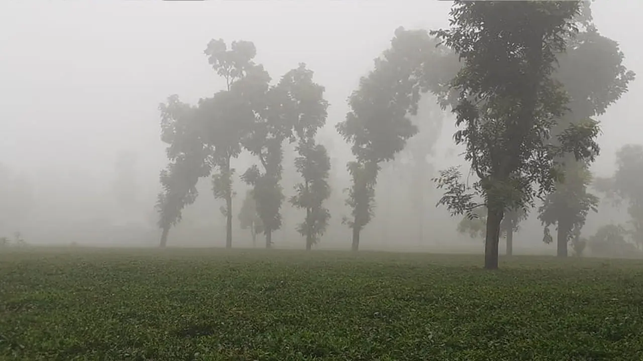 ঘন কুয়াশায় শীতের আগমনী বার্তা তেঁতুলিয়ায়