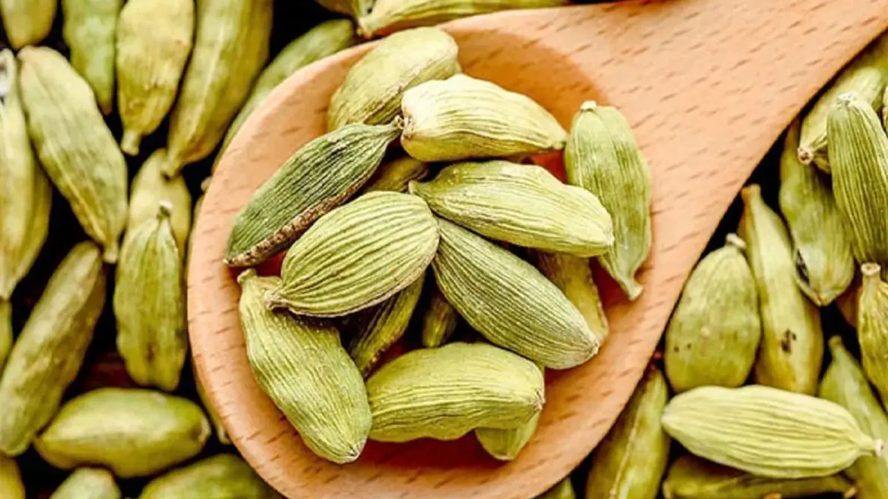 ক্যানসারের সঙ্গেও লড়তে সাহায্য করে ছোট এলাচ