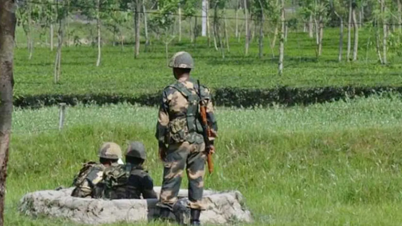 ঠাকুরগাঁওয়ের দুই যুবককে ধরে নিয়ে গেছে বিএসএফ
