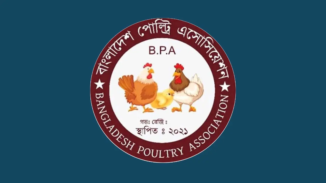 সিন্ডিকেটের দৌরাত্ম্যে ডিমের দাম পাচ্ছেন না প্রান্তিক খামারিরা